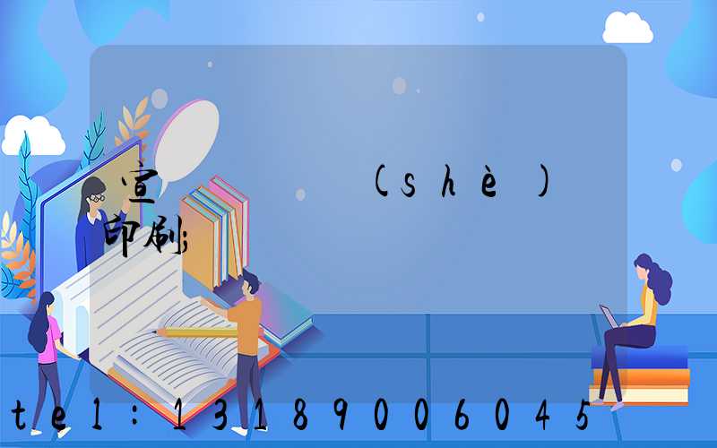宣傳冊畫冊設(shè)計印刷