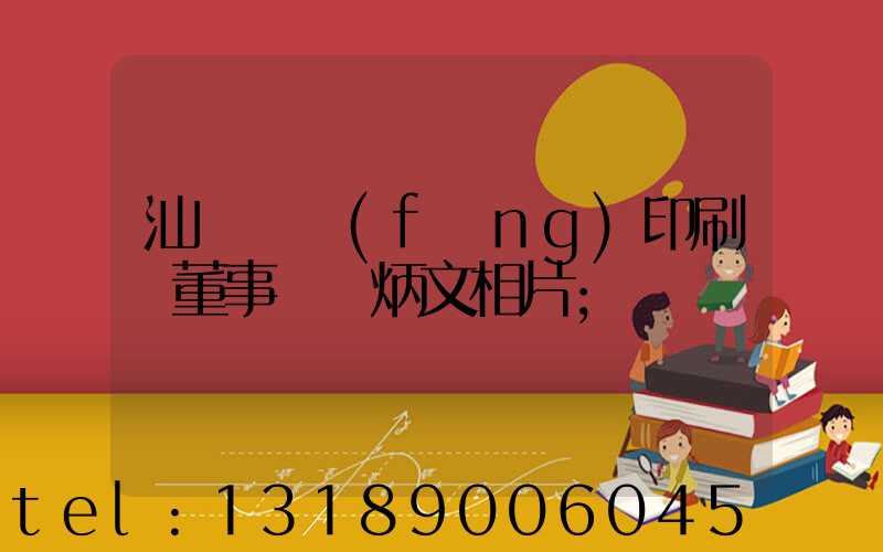 汕頭東風(fēng)印刷廠董事長黃炳文相片