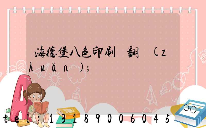 海德堡八色印刷機翻轉(zhuǎn)