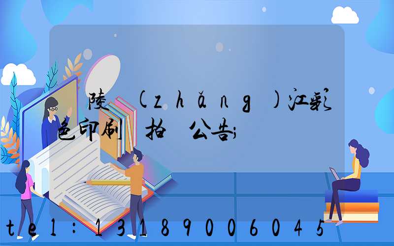 銅陵長(zhǎng)江彩色印刷廠拍賣公告